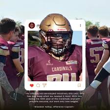 Image result for Ipswich Cardinals American Football Club