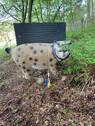 Image result for Row Brow Field Archery