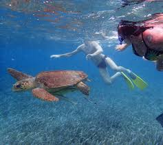 Image result for Three Seas Diving