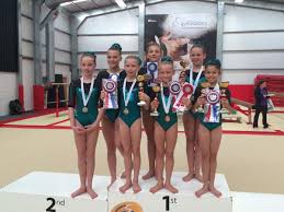 Image result for South Essex Gymnastics Club