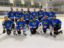 Image result for Streatham Night Wolves Ice Hockey Team