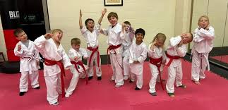 Image result for Colchester Wado Ryu Karate