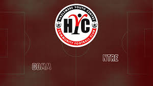 Image result for Haslemere Town Youth Football Club