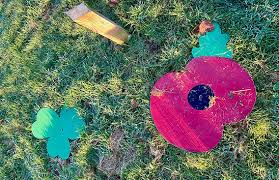 Image result for Ballymena Vandals