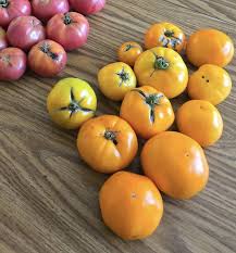 Afbeeldingsresultaat voor earl faux tomato