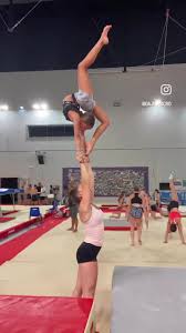 Image result for Elements Acro