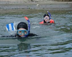 Image result for Darwen Snorkelling Club