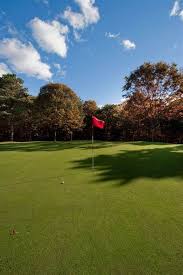 Image result for Holbrook Bowls Club