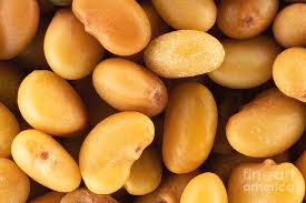 Attēlu rezultāti vaicājumam “Medicago lupulina fruit”