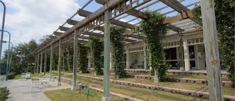 Image result for Cedars Badminton Club