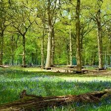 Image result for Airborne West Midlands