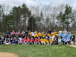 Image result for Sandown Sports Club