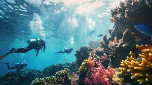 Image result for Three Seas Diving