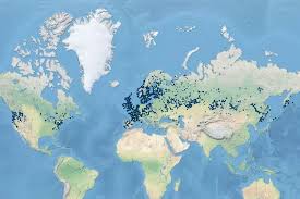Attēlu rezultāti vaicājumam “Myosotis laxa subsp. baltica leaf”