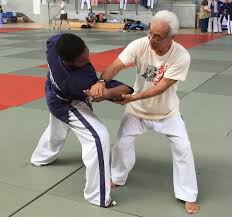 Image result for Yoseikan Budo England