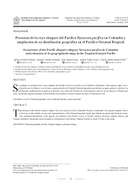 Image result for Styracura pacifica