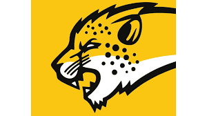 Image result for Chiltern Cheetahs American Football Club