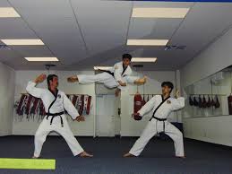 Image result for Parkgate Taekwondo Club