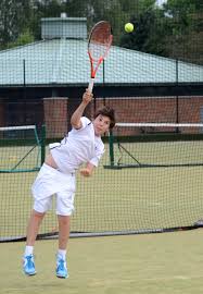 Image result for Biggleswade Sc