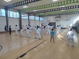 Image result for Haslemere Karate Club