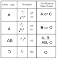 Blood Typing