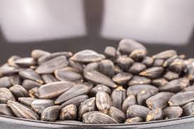 Attēlu rezultāti vaicājumam “Helianthus annuus fruit”