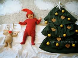 Image result for adele enersen