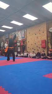 Image result for Tao So Choy Kung Fu Club, Hull