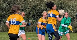 Image result for Carryduff Gaelic Athletic Club