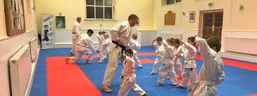 Image result for Backwell Karate