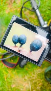 Attēlu rezultāti vaicājumam “Cribraria argillacea stalked”