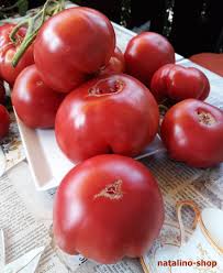 Afbeeldingsresultaat voor crnkovic yugoslavian tomato