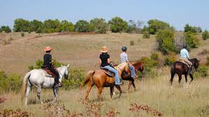 Image result for Almond Riding Club