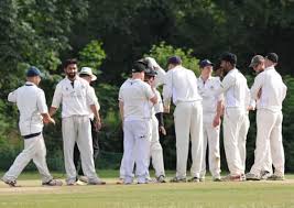 Image result for Sawbridgeworth Cricket Club