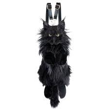 Image result for Black Cat Sac