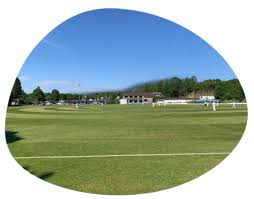 Image result for Nelson Cc