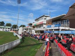 Image result for Lynchmere Cricket Club