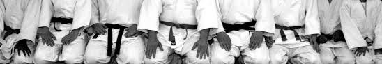 Image result for Tora-Kai Judo