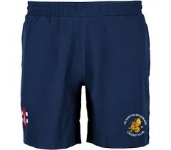 Image result for Yelverton Bohemians Cricket Club