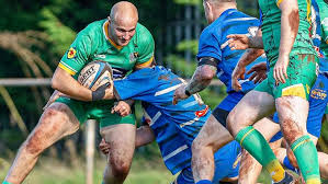 Image result for Yatton R F C