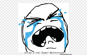 Image result for rage face derp