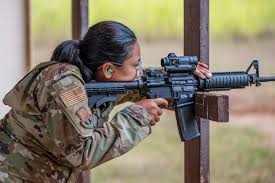 Image result for Mavet Phoenix Tactical Division