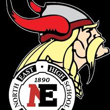 Image result for North East Vikings