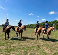 Image result for Cambridge University Riding Club
