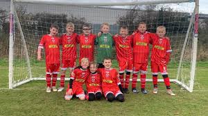 Image result for Coton Green Football Club