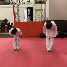Image result for Colchester Wado Ryu Karate