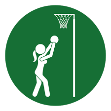 Image result for Icons Netball Club