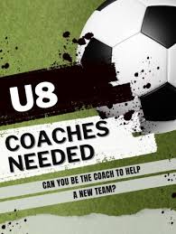 Image result for Manor Colts Youth Football Club