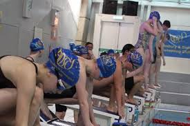 Image result for Ledbury & District Amateur Swimming Club