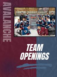 Image result for Ash Avalanche Skater Hockey Club